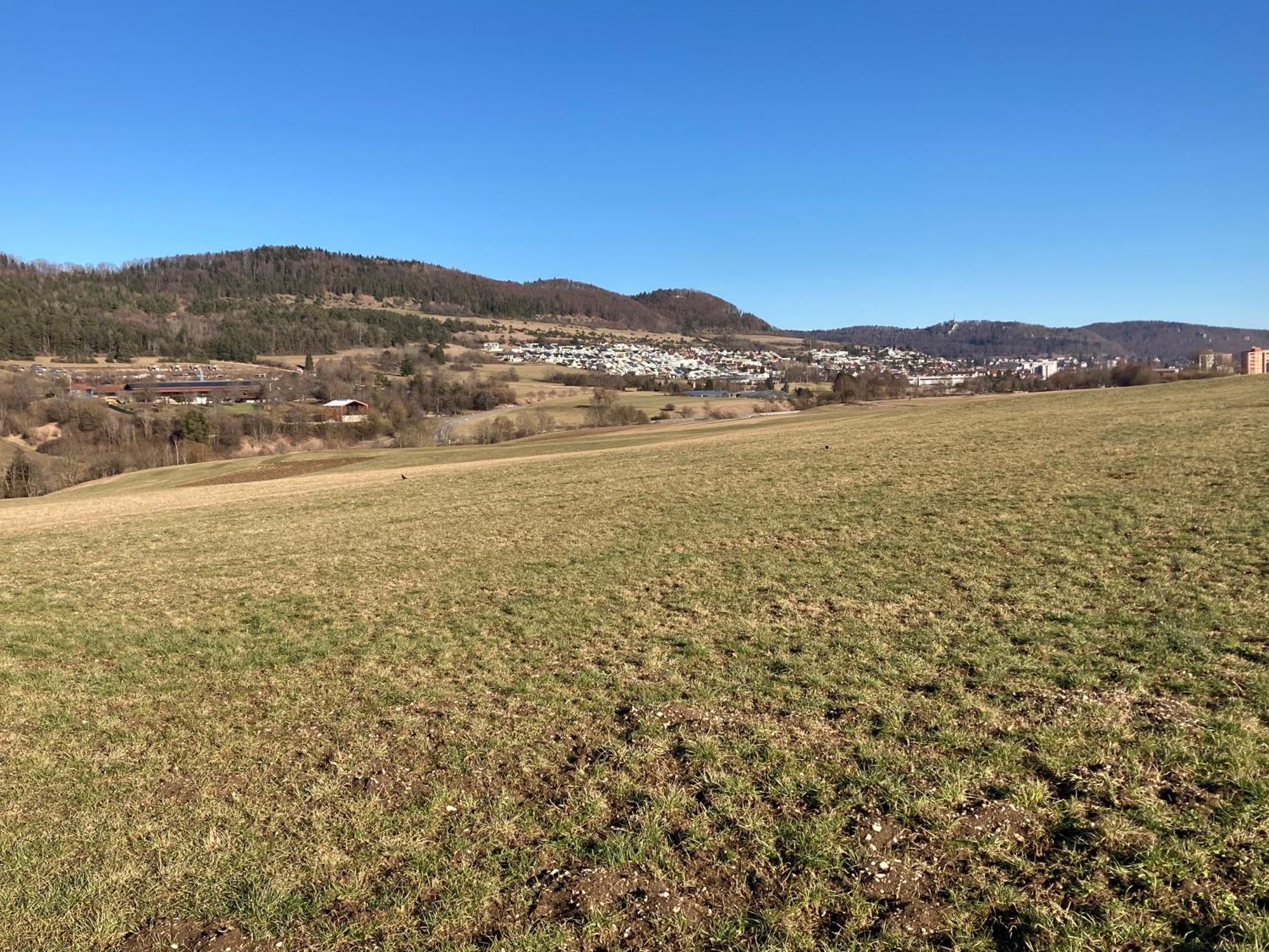 アルプシュタットAtemberaubender Ausblick Mit Premium-Wanderwegen Vor Der Haustuerアパートメント エクステリア 写真
