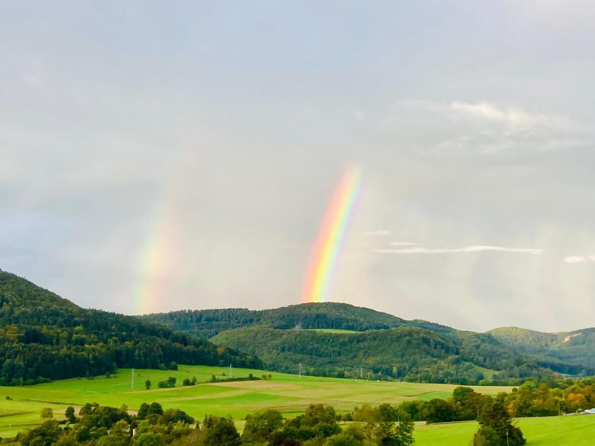 アルプシュタットAtemberaubender Ausblick Mit Premium-Wanderwegen Vor Der Haustuerアパートメント エクステリア 写真