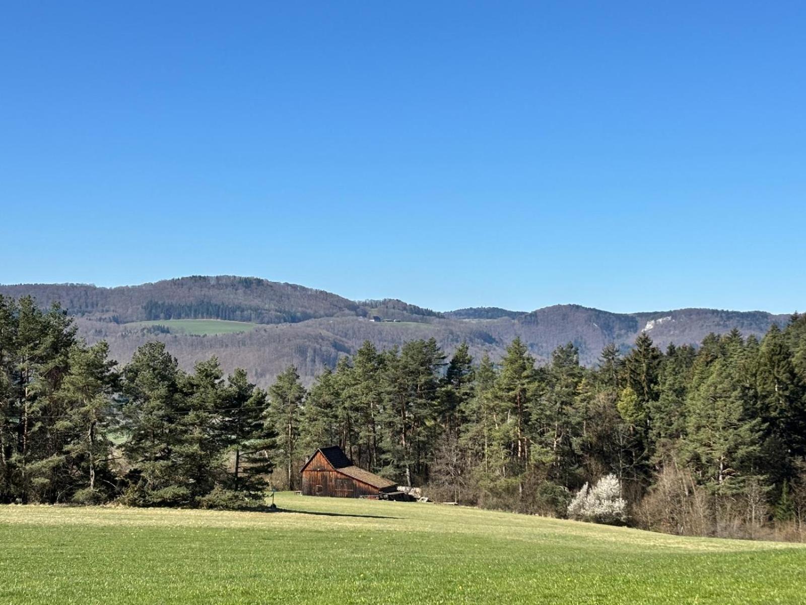 アルプシュタットAtemberaubender Ausblick Mit Premium-Wanderwegen Vor Der Haustuerアパートメント エクステリア 写真